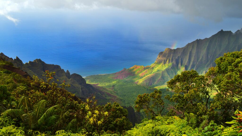 Hawaï, terre d'inspiration : L'archipel qui a conquis le cœur de Poropango