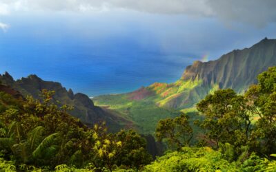 Hawaï, terre d’inspiration : L’archipel qui a conquis le cœur de Poropango