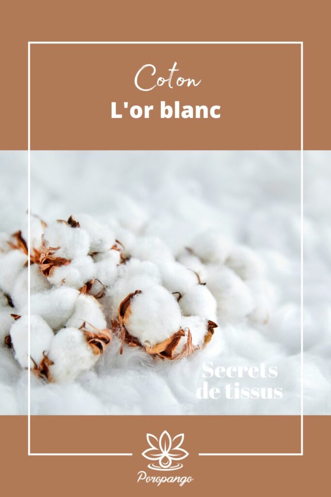 Article de blog Poropango : Coton - L'or blanc