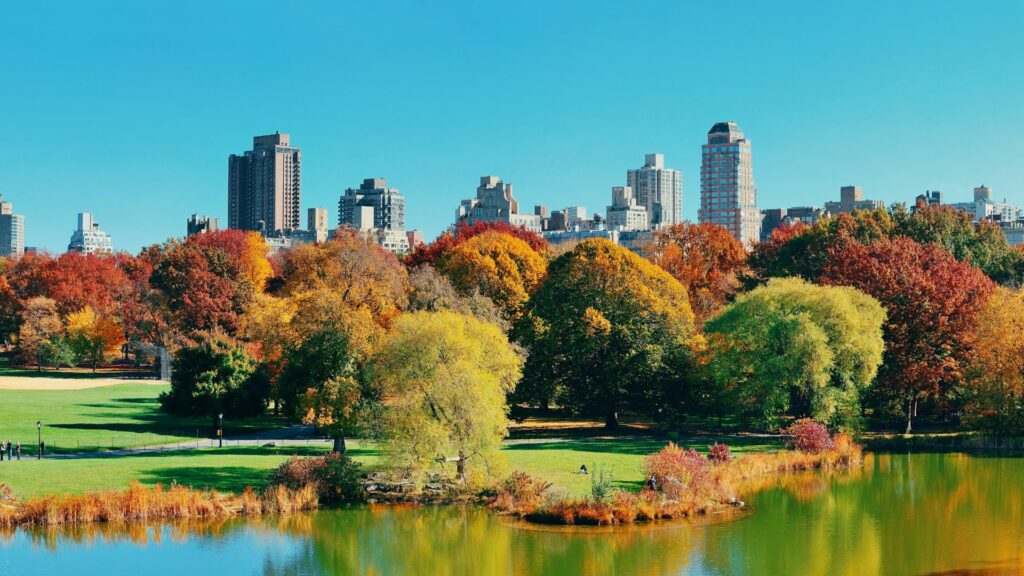 Central Park en automne - New York
