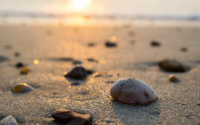 Être éco-responsable à la plage : Conseils et astuces