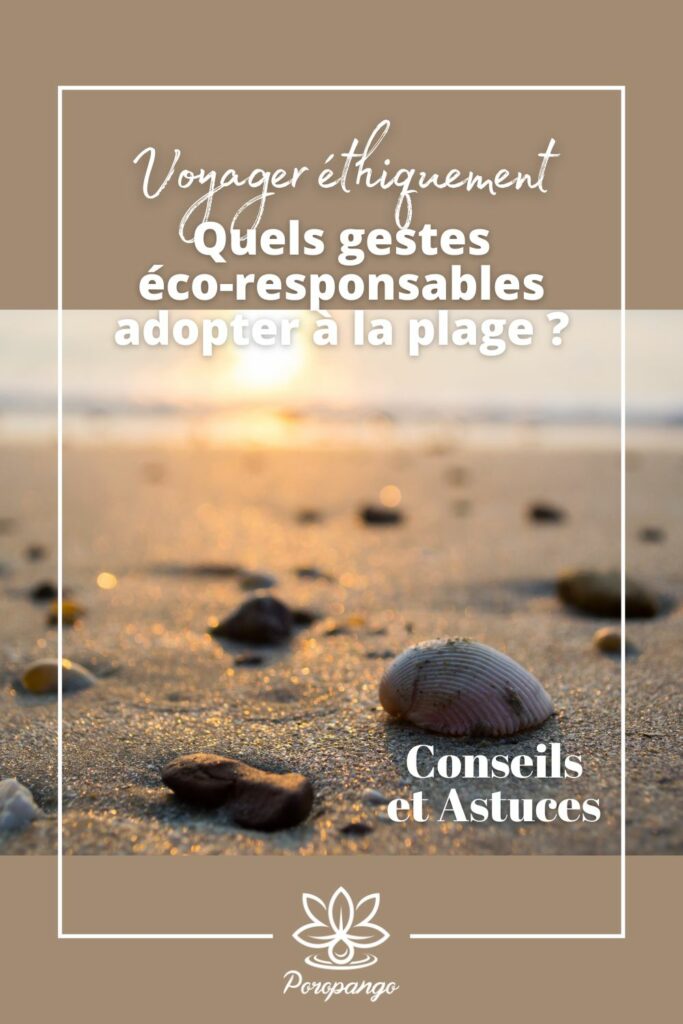 Article de blog : Quels gestes éco-responsables adopter à la plage ?