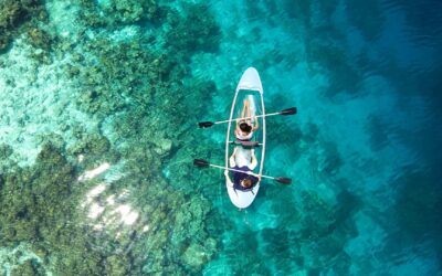 Culture Hawaïenne : Les proverbes qui vous aideront à naviguer dans la vie avec joie et harmonie