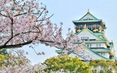 Culture Japonaise : Les proverbes qui vous aideront à vivre sereinement et en harmonie