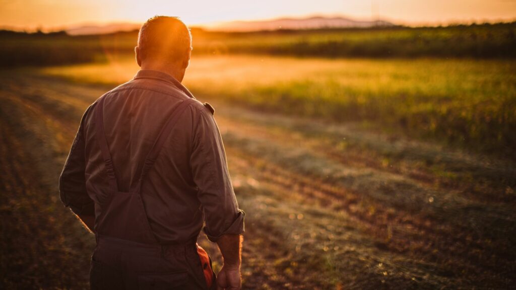 Agriculteur dans son champ qui regarde ses terres