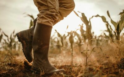 Les proverbes qui mettent à l’honneur les Agriculteurs et les Éleveurs inspireront votre engagement pour la durabilité