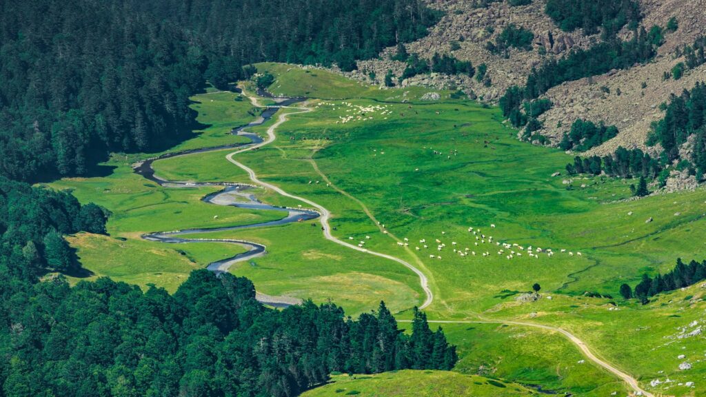 Vallée d’ossau - France