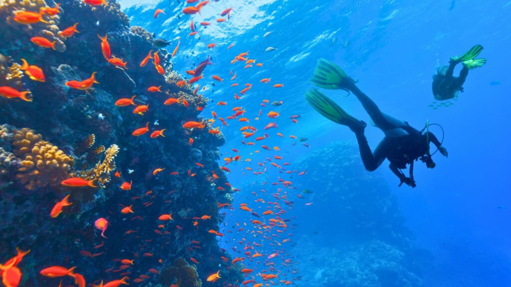 Plongée sous marine