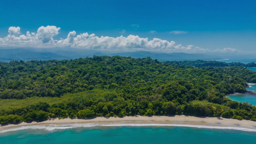 Forêt tropicale au Costa Rica avec une vue sur les montagnes.
