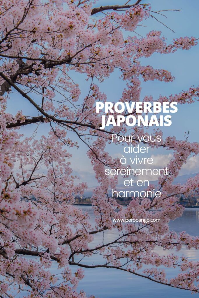 Article de blog Poropango : Culture Japonaise - Les proverbes qui vous aideront à vivre sereinement et en harmonie