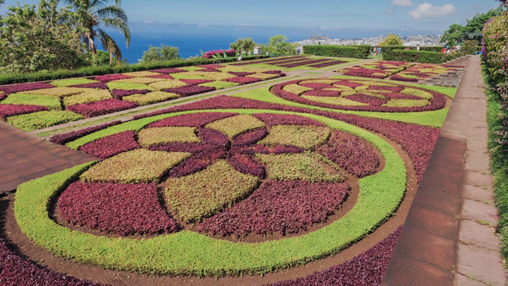 Jardin botanique de Funchal avec une variété de plantes exotiques et des sentiers bien entretenus.