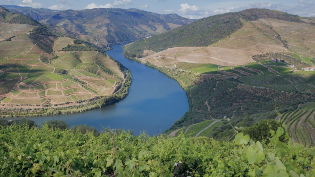 Vue panoramique des vignobles en terrasses de la vallée du Douro