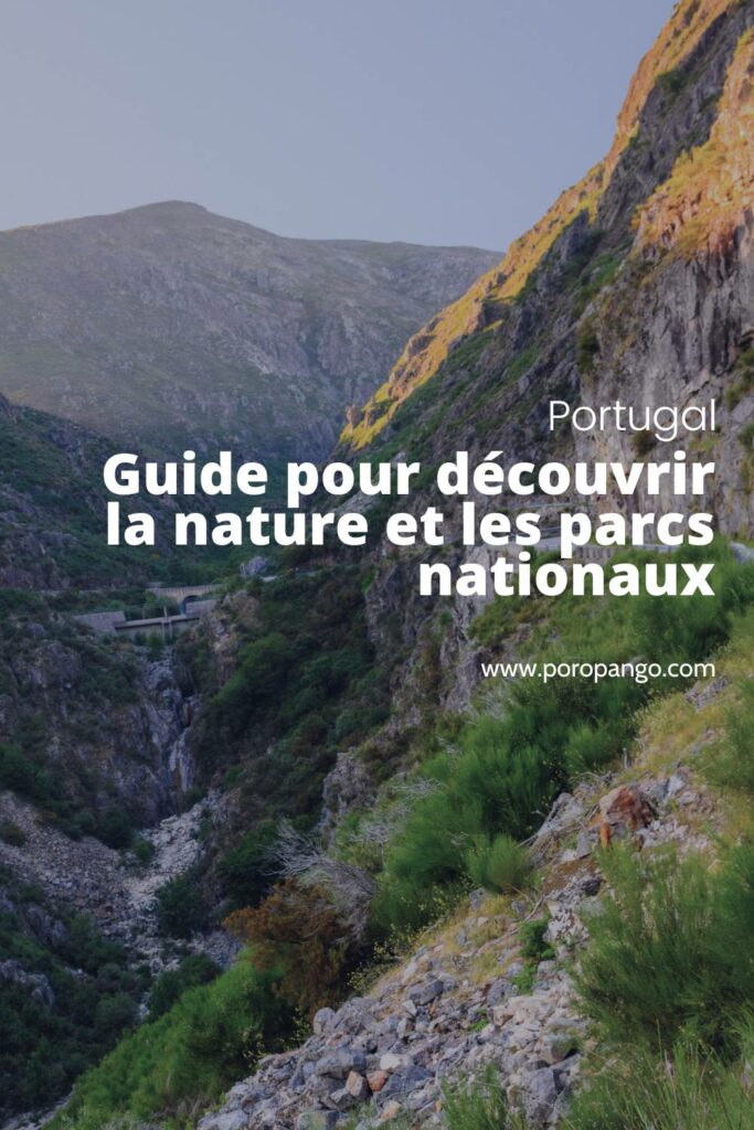 Article de blog Poropango : La nature et les parcs nationaux du Portugal - Une découverte incontournable