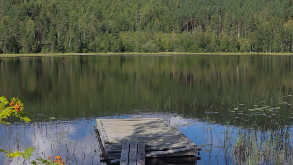 Ponton en bois au bord de l'eau à Hälsingland, avec une vue sereine sur le lac et la forêt environnante.