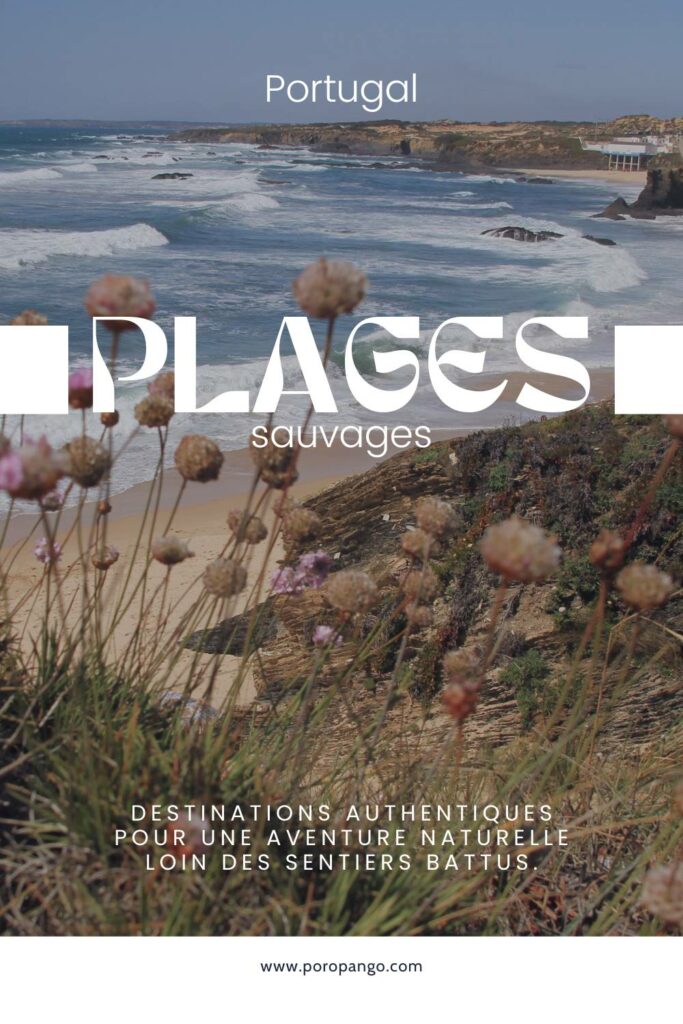 Article de blog Poropango : 10 Plages sauvages du Portugal à découvrir