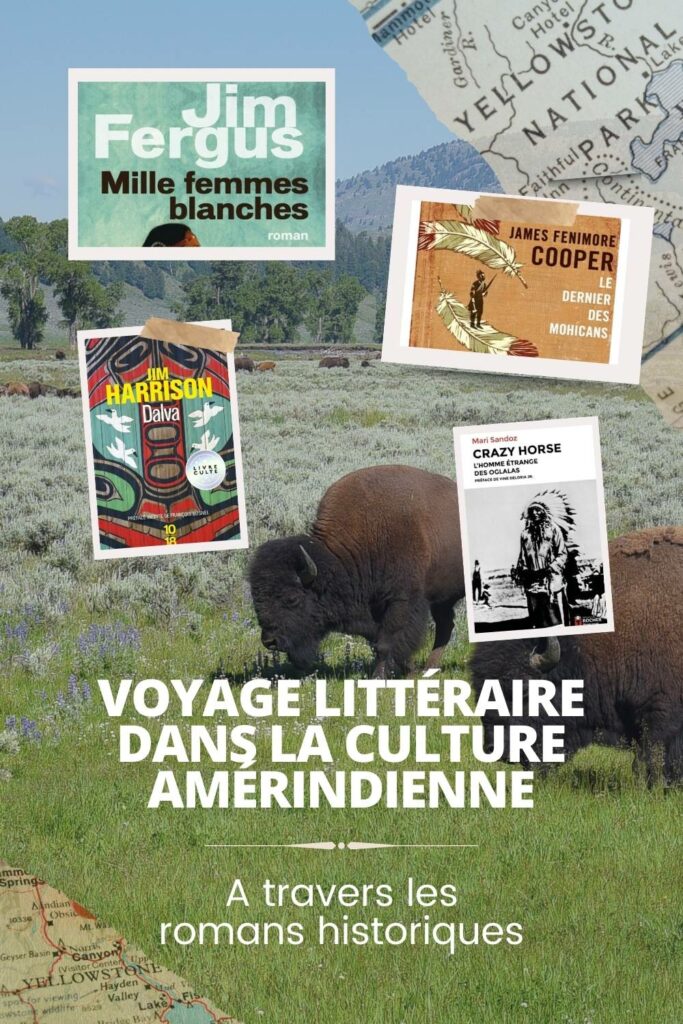 Article de blog Poropango : Plongée littéraire dans la culture amérindienne à travers les romans historiques