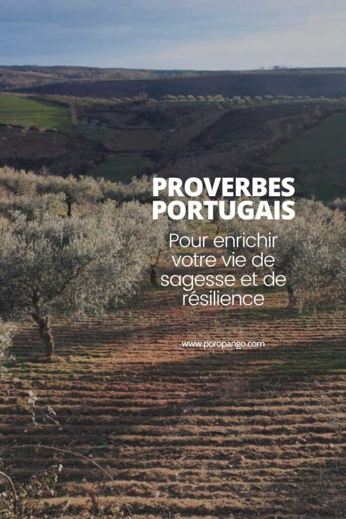 Article de blog Poropango : Culture Portugaise : Les proverbes qui enrichiront votre vie de sagesse et de résilience