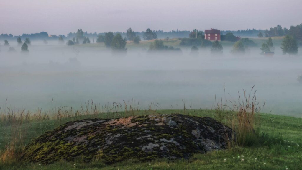 Paysage brumeux en Suède