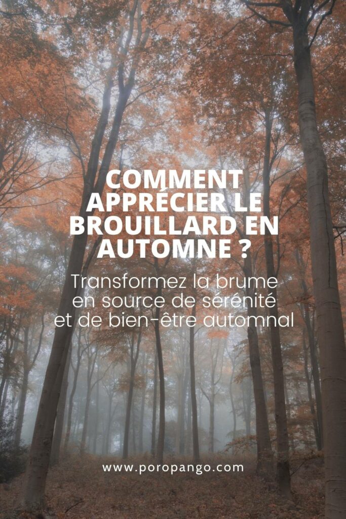 Article de blog Poropango : Comment Apprécier le Brouillard en Automne ?