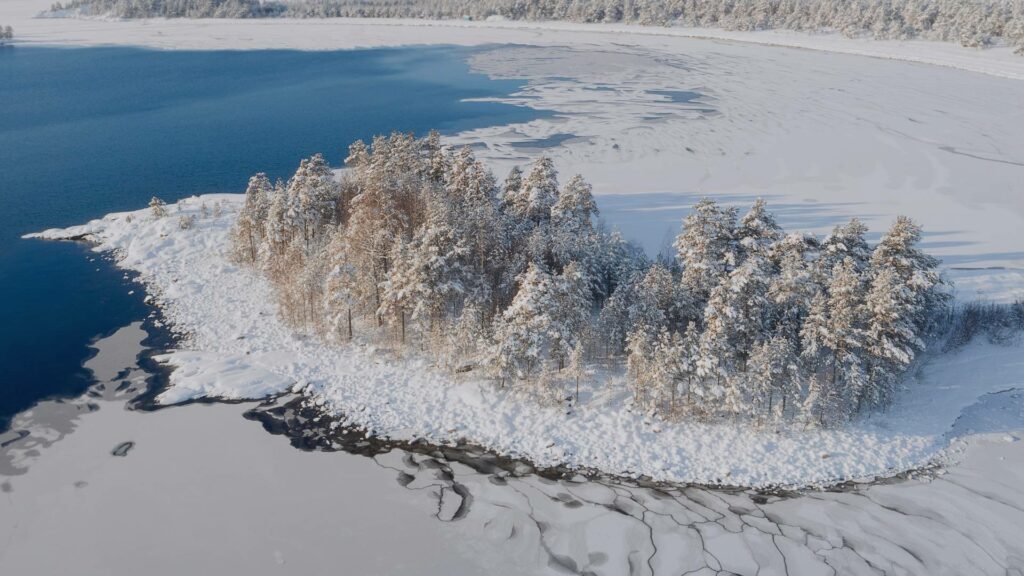 Forêt enneigée au bord du lac Ladoga, symbole du paysage carélien