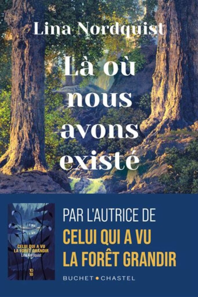 Couverture du roman 'Là où nous avons existé' de Lina Nordquist – Photographie d'une forêt dense et mystérieuse, aux arbres majestueux baignant dans une lumière douce, symbolisant la mémoire et l'intimité des racines.